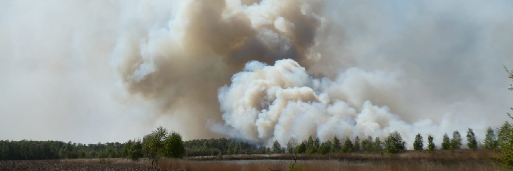 Brand in de Peel, foto: Lieke Verhoeven, Staatsbosbeheer