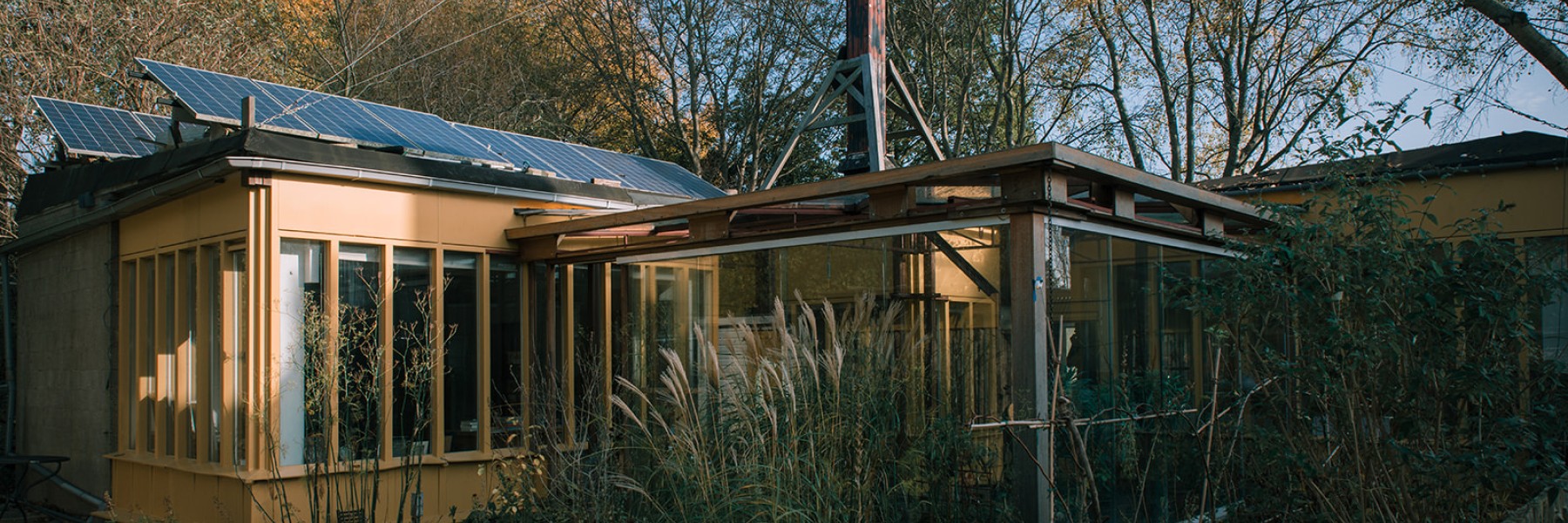 Duurzame kleuterschool Alkmaar | Foto: Sheena Schouwink