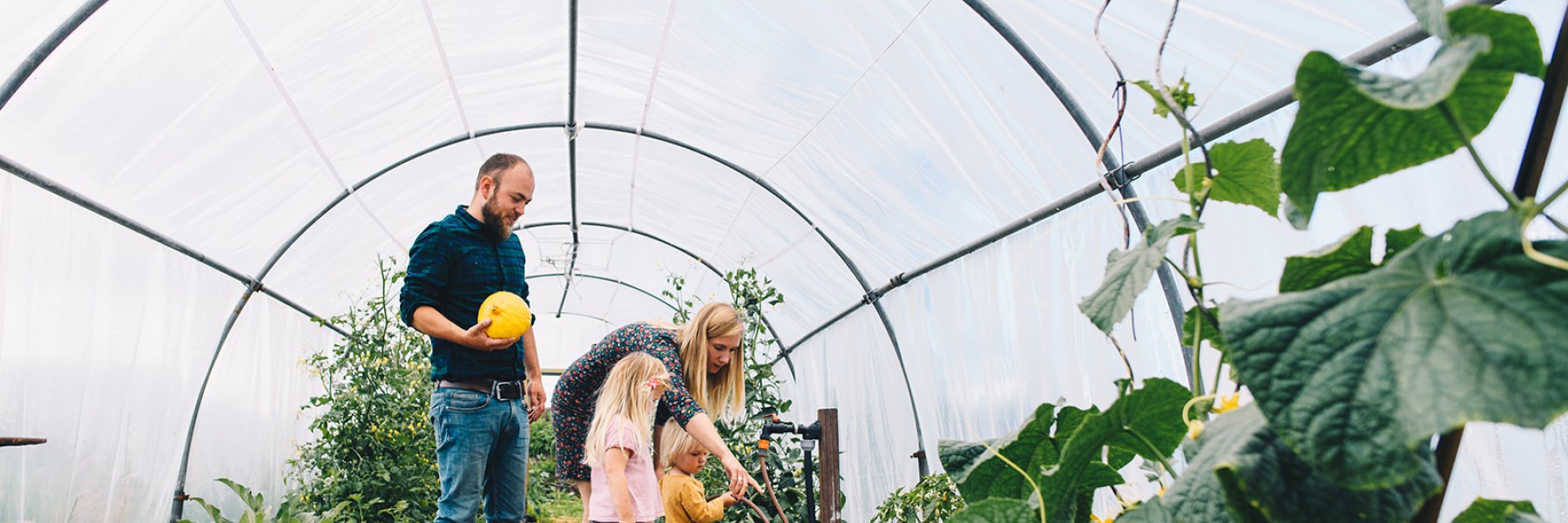 Duurzaam paradijs Drenthe