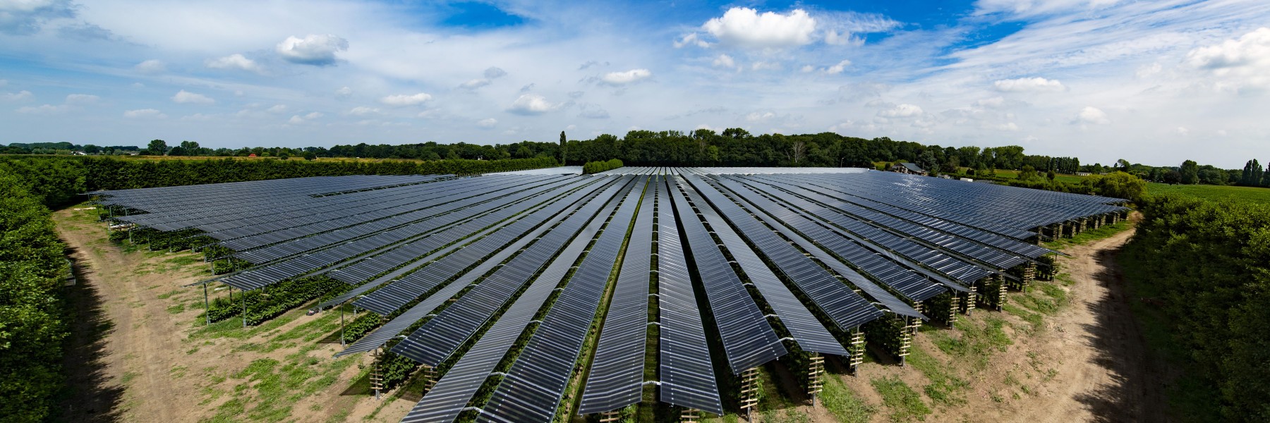 Zonnepanelen & framboos
