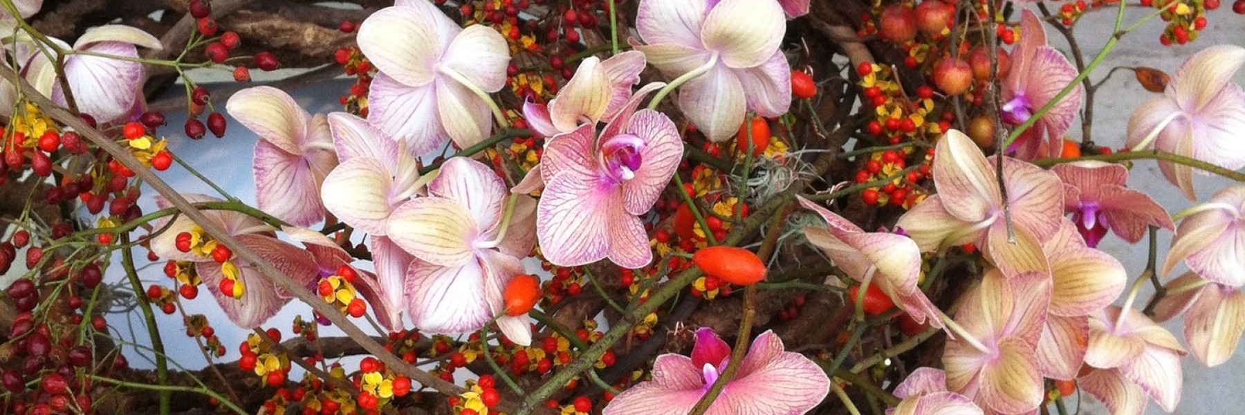 Bloemenkrans | Foto: Pixabay