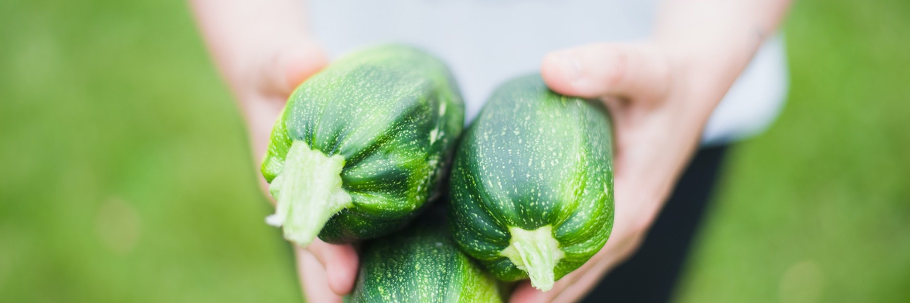 Courgettes | Foto: Pexels