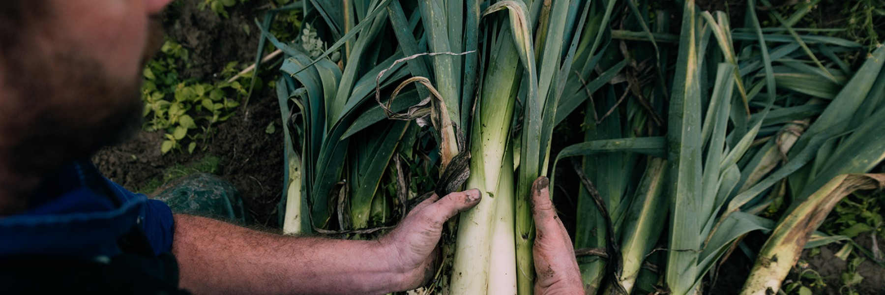 Boeren volgens christelijk rentmeesterschap