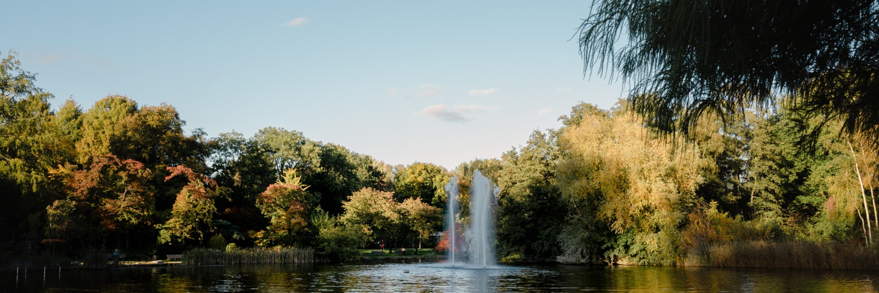Amstelpark 50 jaar | Foto: Sheena Schouwink