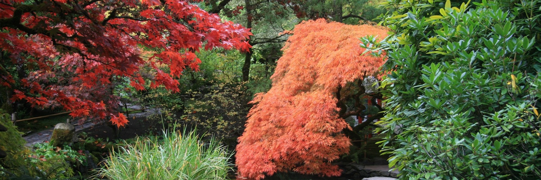 Japanse tuin in herfstkleuren | Foto: Pixabay
