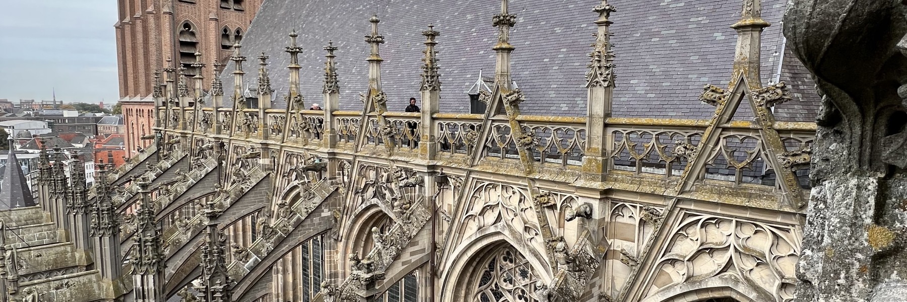 Sint Jans-kathedraal Den Bosch | Foto: Geert Pruiksma
