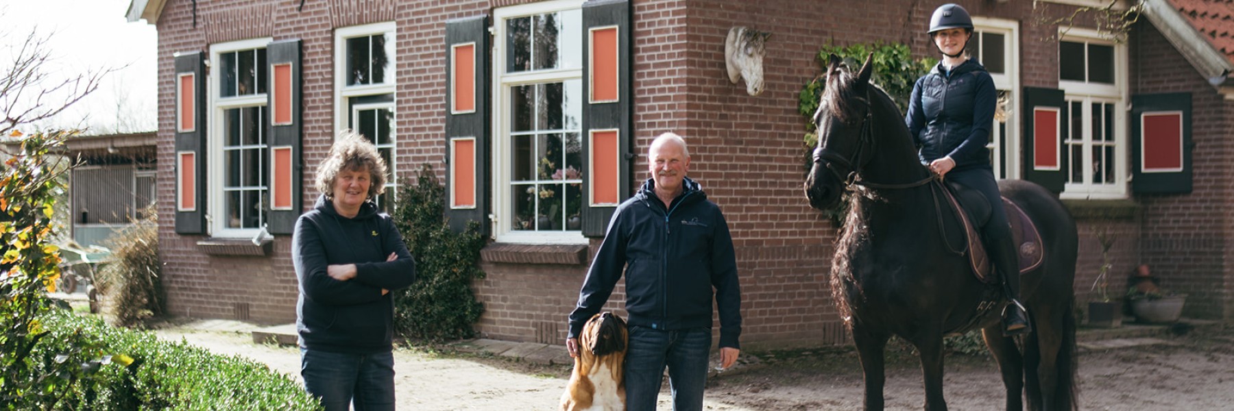 Friese paarden in Epe | Fotografie: Marjon Lukje