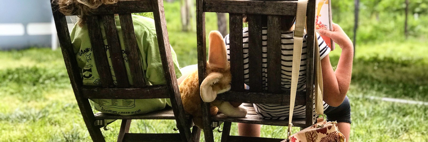 Groene aanslag verwijderen 