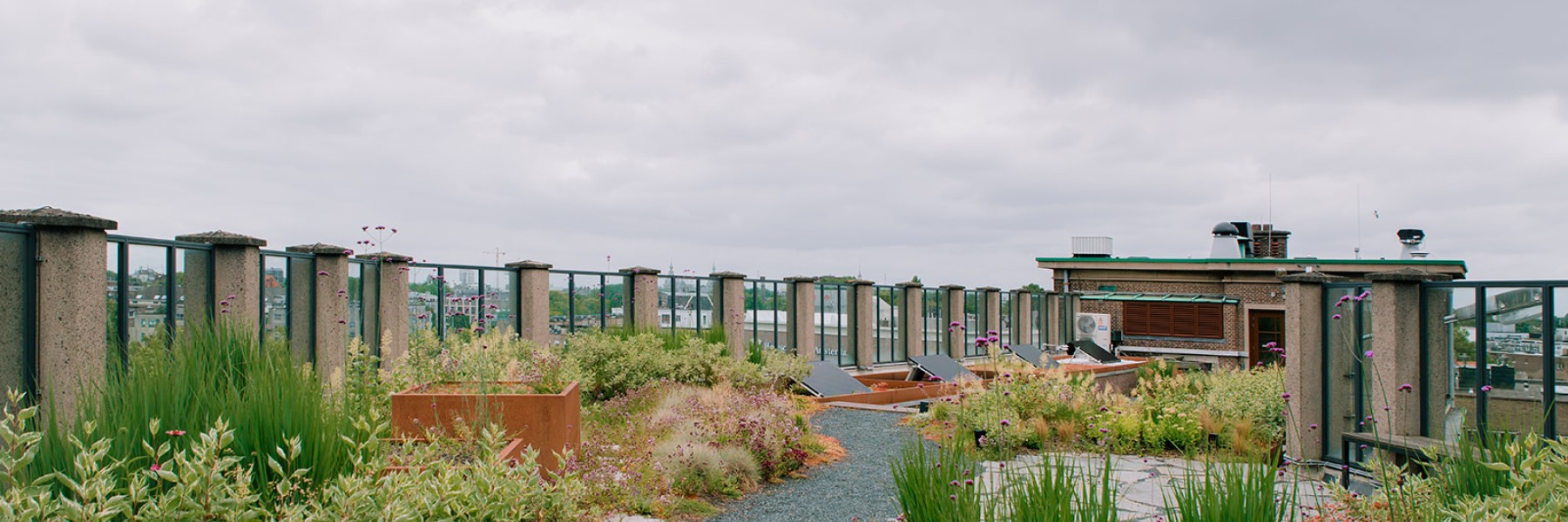 Groene daken | Fotografie: Sheena Schouwink