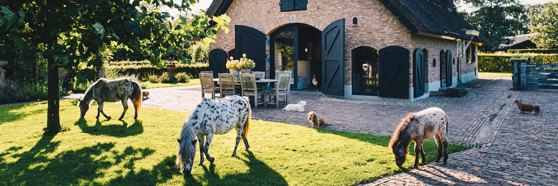 Beestenboel - Foto: Marjon Lukje