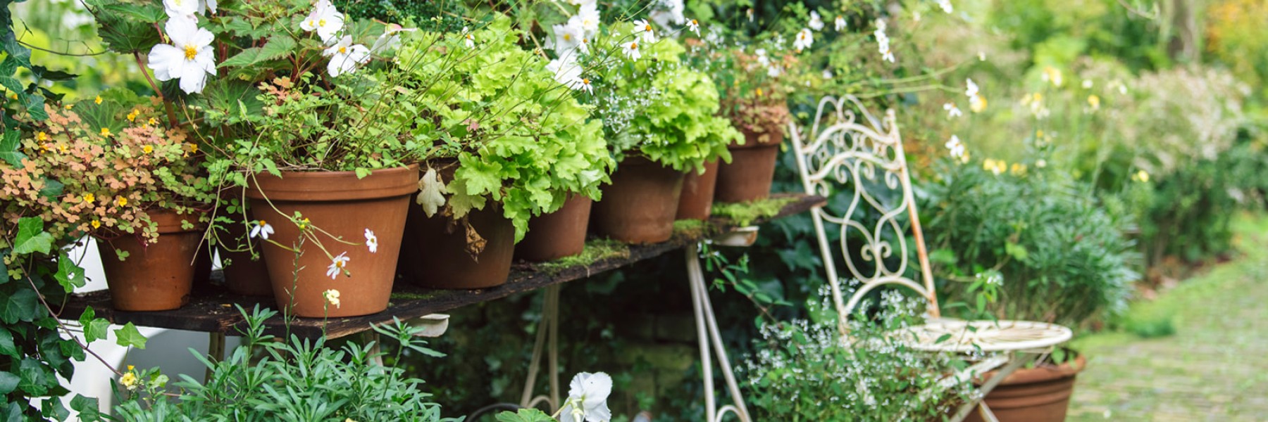 Herfsttuin van Marieke Nolsen | Foto: Liesbeth Disbergen