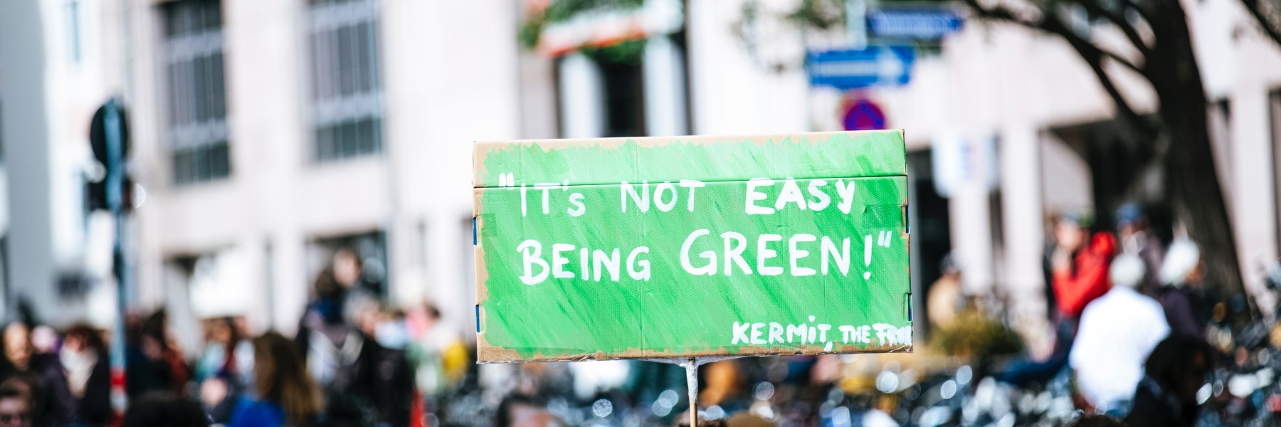 Waarom wereldverbeteraars zo irritant zijn | Bron: Unsplash