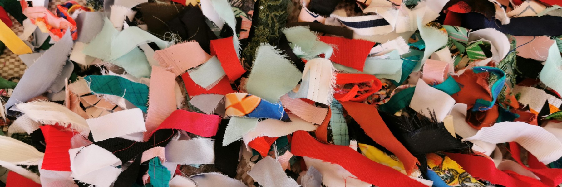 Foto: Paulo Sergio Zembruski