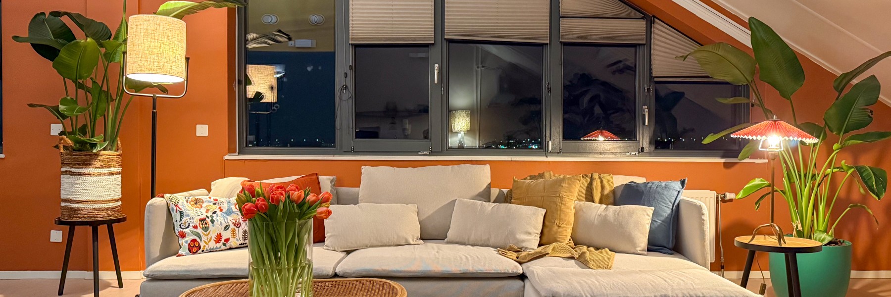 Theo-Bert knapt een noodopvang op