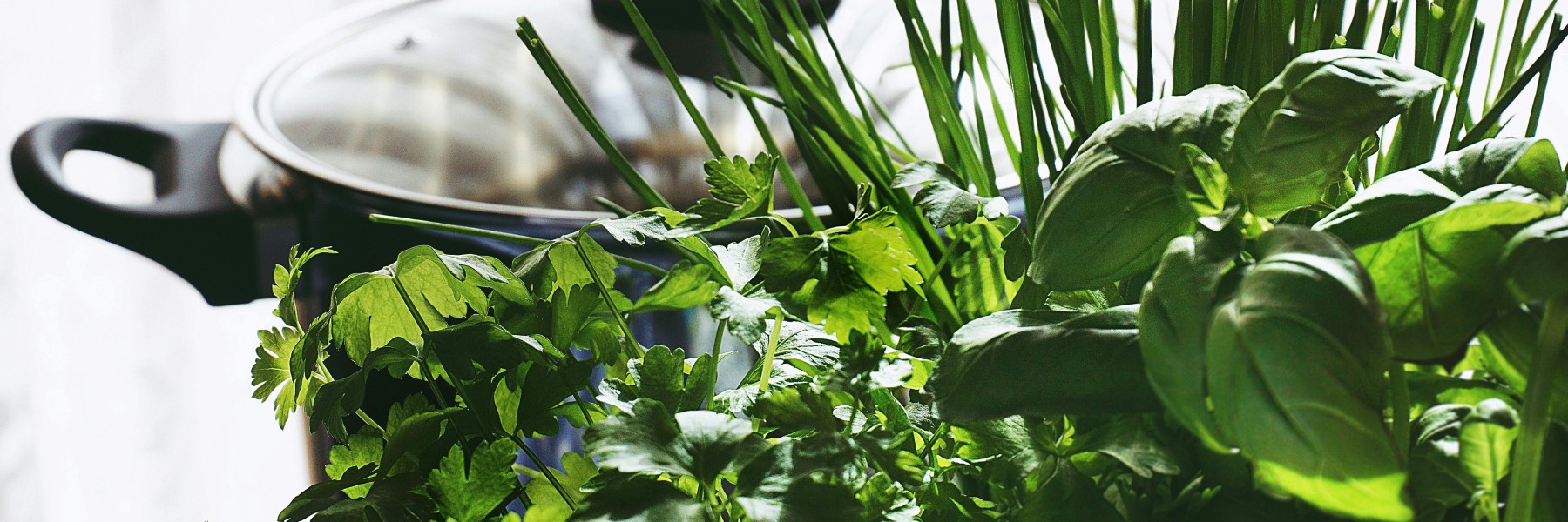 Tips om je verse kruiden goed te bewaren | Foto: Pexels