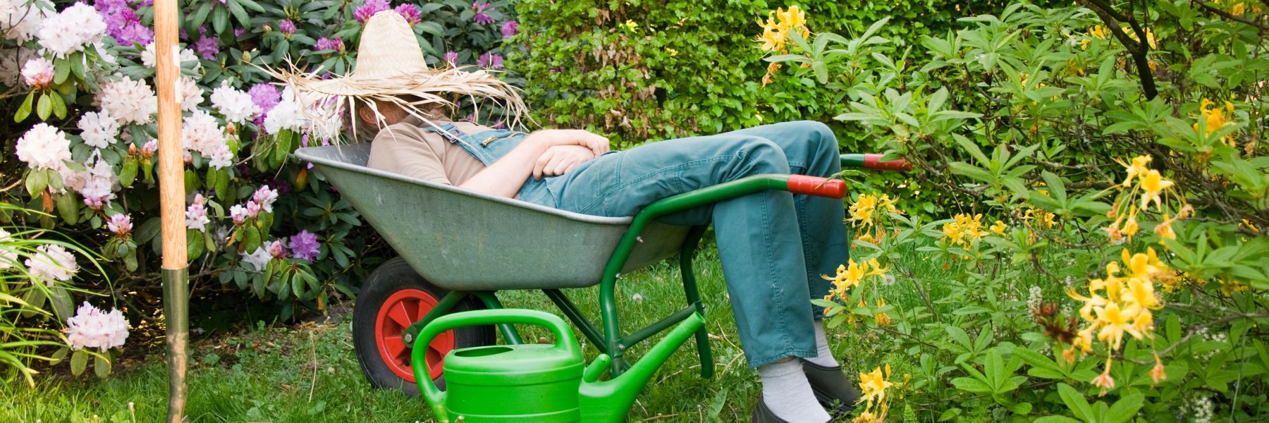 Je tuin water geven in de zomer | Foto: Adobe Stock 