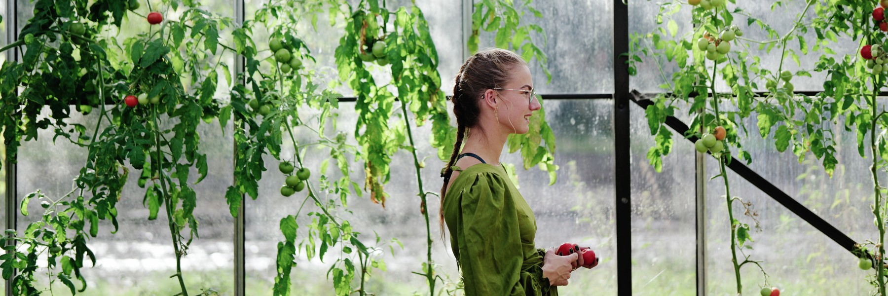 Amber Zandberg-Banis in haar kas