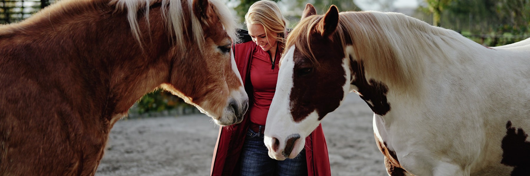 Paardenparadijs | Fotografie: Marjon Lukje