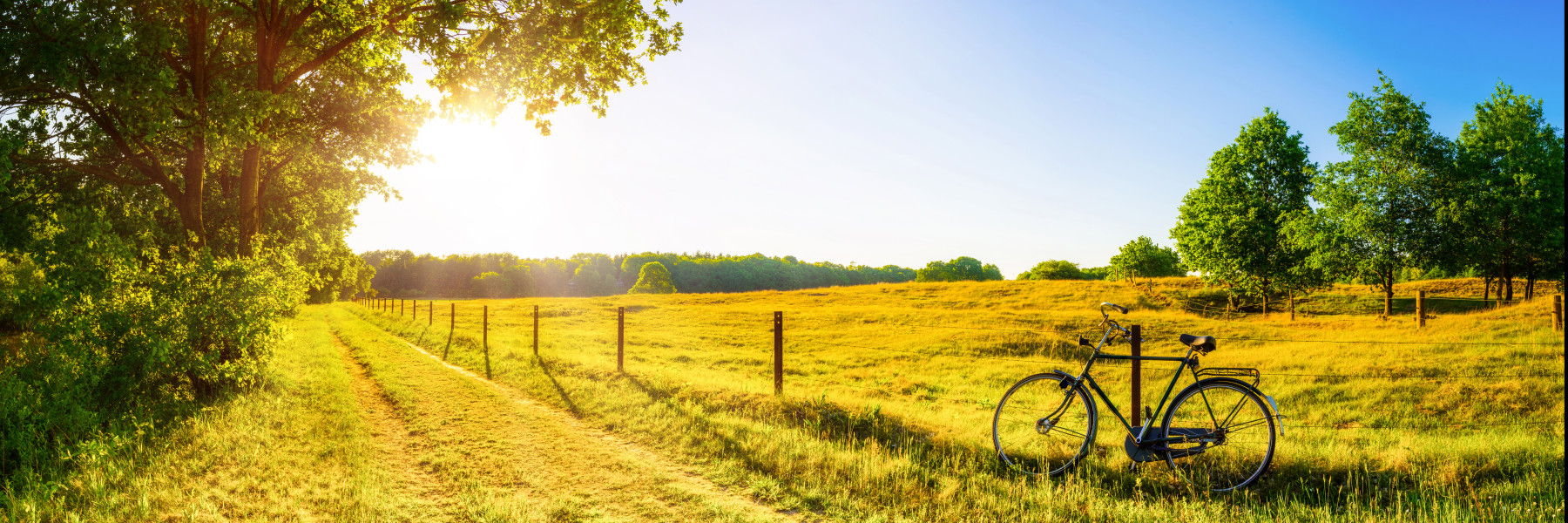 Zomer in Nederland