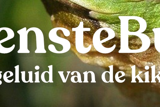 Podcast Het geluid van de kikkers