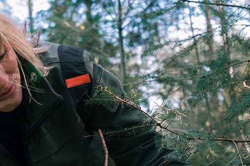 Marieke paddenstoelen