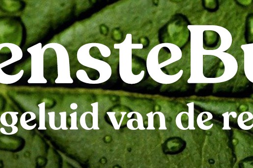 Het geluid van de regen