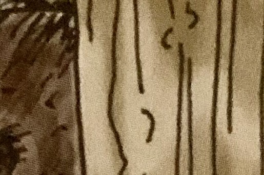 Zaag een opening van 13x13 cm, dat is voldoende voor een egel om doorheen te komen| Illustratie: Lotte Dijkstra