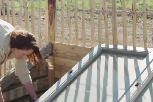 De zaailingen en jonge planten kunnen met pot en al in de koude bak afharden 