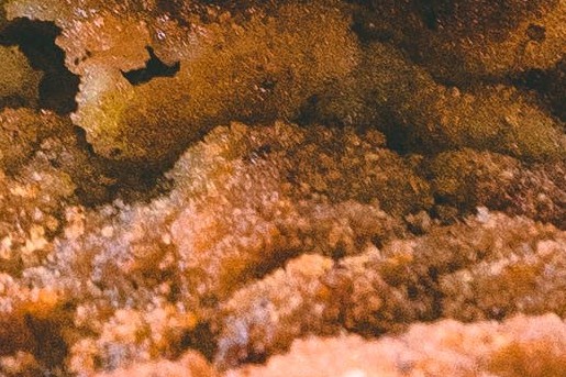 Wiener schnitzel - Lekkere Track