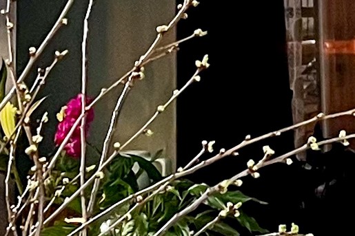 Metamorfose woonkamer - Theo-Bert Pot