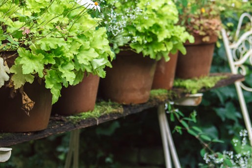 Kijk mee in de herfsttuin van Marieke Nolsen | Foto: Liesbeth Disbergen