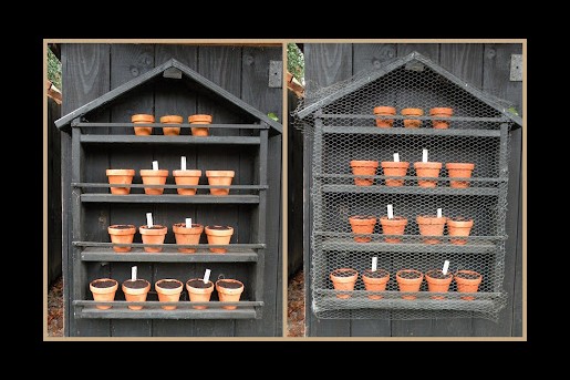 Primula theater van Marieke Nolsen gevuld met plantenpotjes met voorjaarsbollen | Foto: Marieke Nolsen