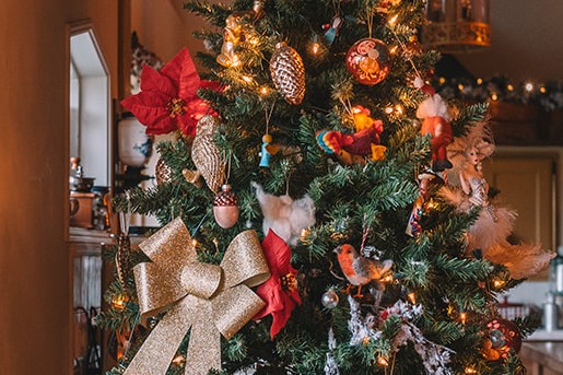 Stolpboerderij in kerstsfeer | Fotografie: Sheena Schouwink