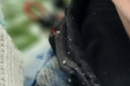 Maak je eigen kweektafel | Manon Wijermars