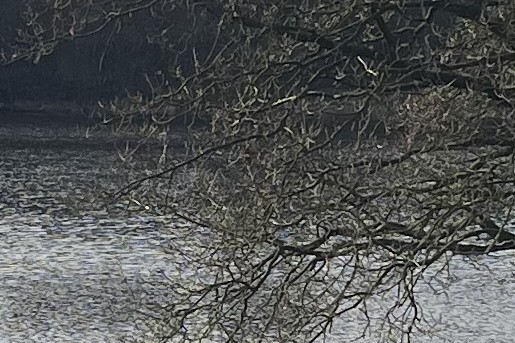 Fotografie: Asceline Groot