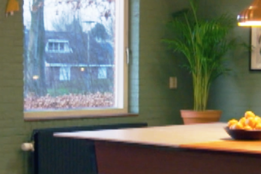 Metamorfose dorpshuis Theo-Bert Pot