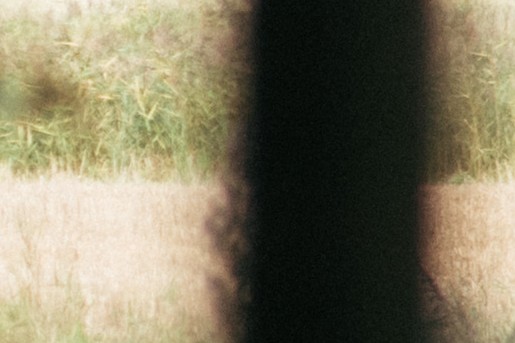 Sprookjesboerderij raam