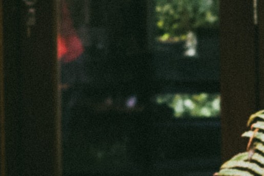 Boomhut - Foto: Marjon Lukje