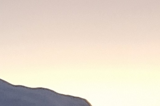 Snowmotion in het winterse landschap in het noorden van Zweden | Foto: Marieke Eyskoot