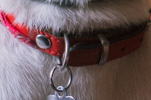 Vera en Yves wonen in hun droomhuis in Velsen-Zuid | Foto: Sheena Schouwink