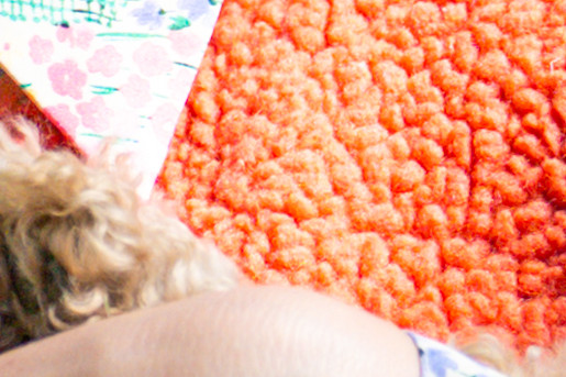 Saskia en Ted voor het project Kate de Bouwkeet | Foto: BinnensteBuiten