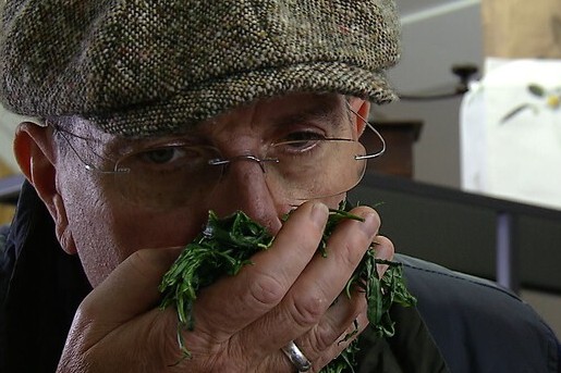 Thee van Hollandse bodem (147)