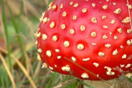 Duurswouderheide Friesland