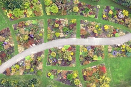 Kleurrijke stadshof in Utrecht, ontworpen door Piet Oudolf