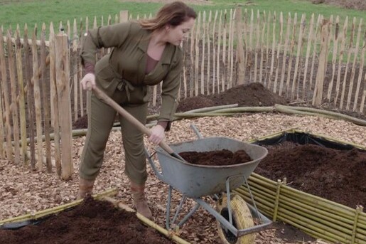 Balans in de BB moestuin