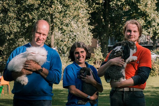 Knuffelkonijnen in Zwolle