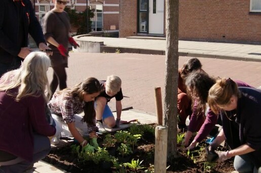 Guerilla gardening: tegels eruit, groen erin