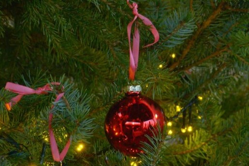 Kerstspecial met Theo-Bert
