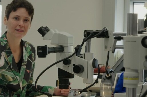 Botanisch tekenen bij Kasteel Oud-Poelgeest