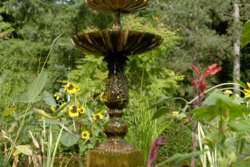 Kleurrijke bloementuin Nijmegen